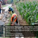 Proyek TPTJ alan RT 05 RW 02 Kalisoko Desa Rejono kecamatan Karangjati (foto: dok)